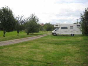 A motorhome on a grass pitch beside the gravel track and fruit trees