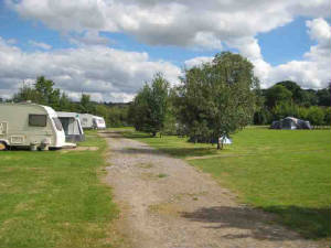 Caravans and tents spread around the grass field either side of the gravel track