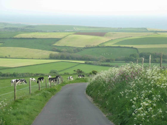 A lane running down between hedges and fields towards the sea above Chesil Beach, near Abbotsbury